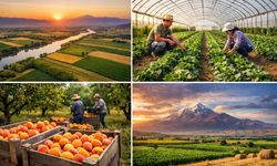 TÜRKİYE’NİN TARIM HARİTASINDA IĞDIR’IN STRATEJİK YERİ