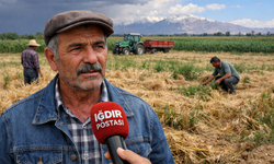 IĞDIR’DA TARIM SİGORTASI YETERLİ Mİ? ÇİFTÇİ NE DİYOR?