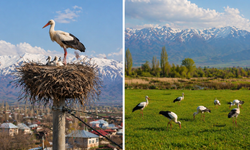 GÖKYÜZÜNÜN YOLCULARI IĞDIR’A ULAŞTI