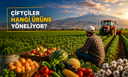 Iğdır'da Çiftçiler Hangi Ürüne Yöneliyor?