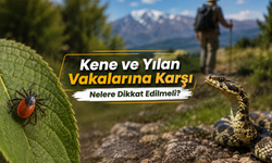 Kene ve Yılan Vakalarına Karşı Nelere Dikkat Edilmeli?