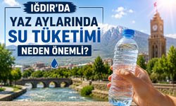 Iğdır'da Yaz Aylarında Su Tüketimi Neden Önemli?
