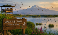 Aras Kuş Cenneti Yaz Aylarında Doğaseverleri Ağırlıyor