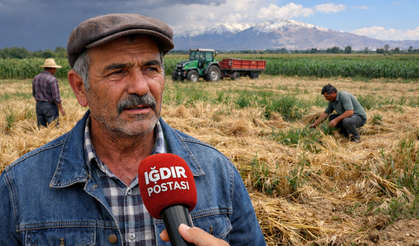 IĞDIR’DA TARIM SİGORTASI YETERLİ Mİ? ÇİFTÇİ NE DİYOR?