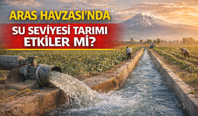 ARAS HAVZASI’NDA SU SEVİYESİ TARIMI ETKİLER Mİ?