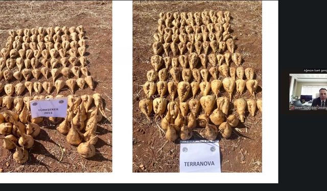 REKTÖR GÜREL, TÜRKİYE’NİN İLK YERLİ VE MİLLÎ ŞEKER PANCARI TOHUMU PROJESİNİ TANITTI