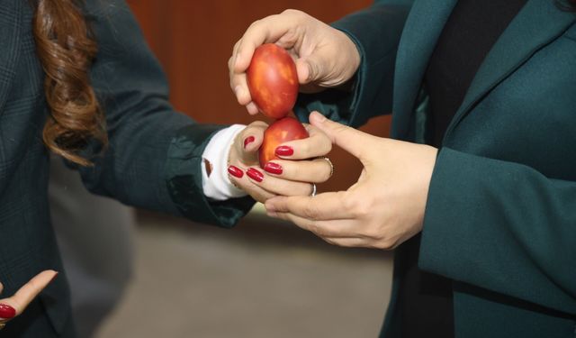 IĞDIR ÜNİVERSİTESİNDE “TÜRK DÜNYASINDA NEVRUZ” PROGRAMI DÜZENLENDİ
