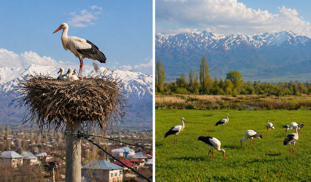GÖKYÜZÜNÜN YOLCULARI IĞDIR’A ULAŞTI