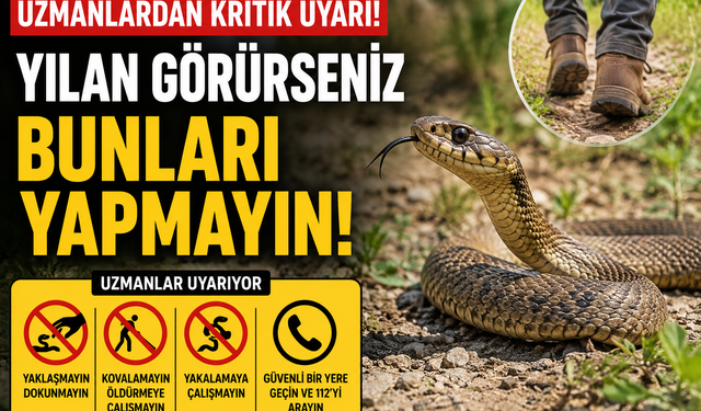Yılanla Karşılaşırsanız Sakın Bunları Yapmayın
