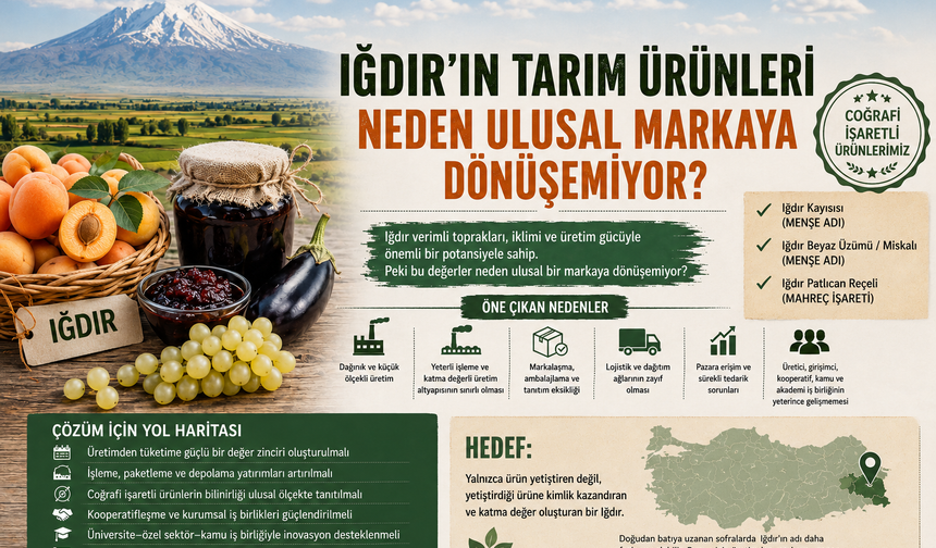 Iğdır'ın Tarım Ürünleri Neden Ulusal Markaya Dönüşemiyor?