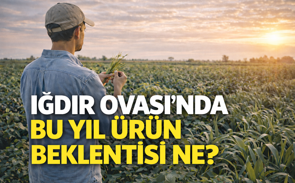 IĞDIR OVASI’NDA BU YIL ÜRÜN BEKLENTİSİ NE?
