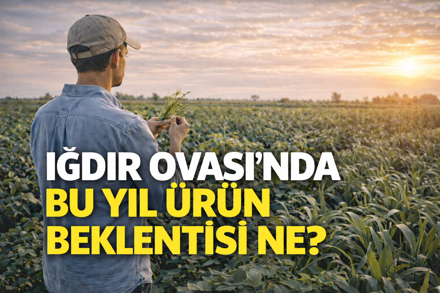 IĞDIR OVASI’NDA BU YIL ÜRÜN BEKLENTİSİ NE?